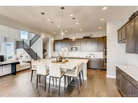 3038 Blithe Pt, Castle Rock, CO 80108 photo 10