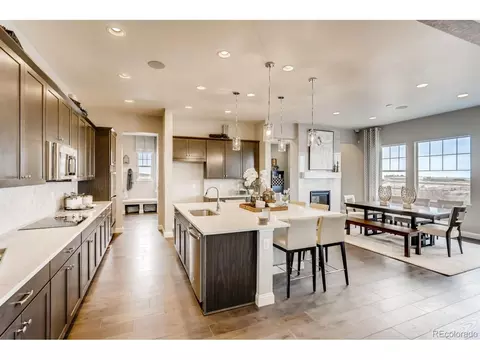 3038 Blithe Pt, Castle Rock, CO 80108 photo 9