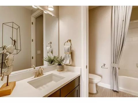 3038 Blithe Pt, Castle Rock, CO 80108 photo 22