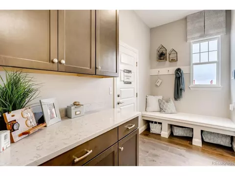 3038 Blithe Pt, Castle Rock, CO 80108 photo 24
