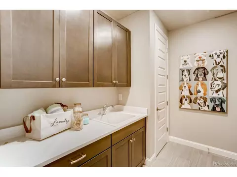 3038 Blithe Pt, Castle Rock, CO 80108 photo 23