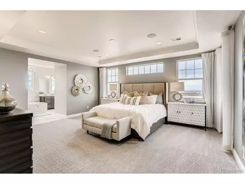 3038 Blithe Pt, Castle Rock, CO 80108 photo 13