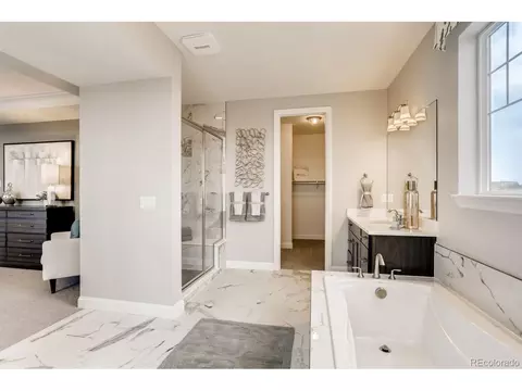 3038 Blithe Pt, Castle Rock, CO 80108 photo 17