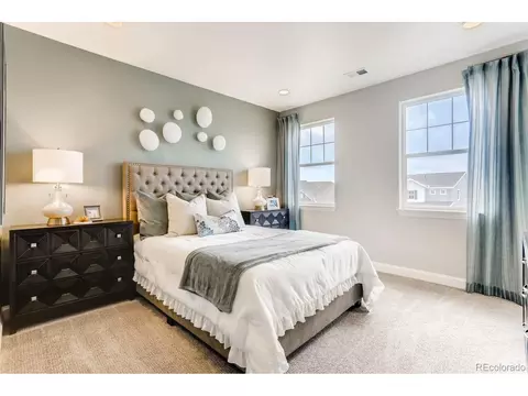 3038 Blithe Pt, Castle Rock, CO 80108 photo 18