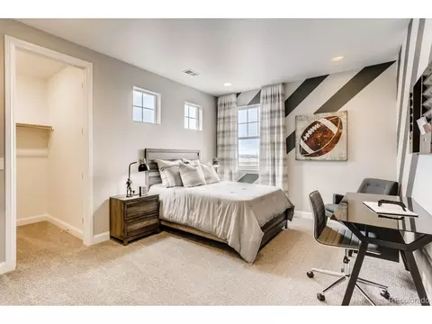 3038 Blithe Pt, Castle Rock, CO 80108 photo 21