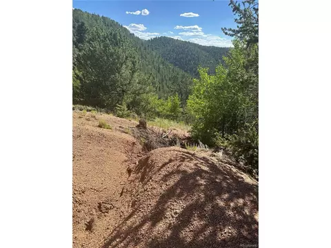 642 Oilcreek, Divide, CO 80814