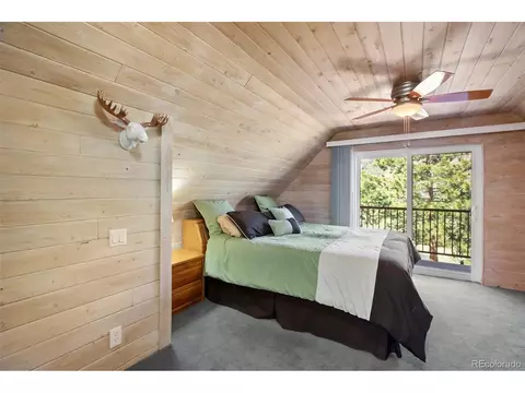 4615 Mesa, Cascade, CO 80809 photo 27