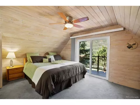 4615 Mesa, Cascade, CO 80809 photo 25