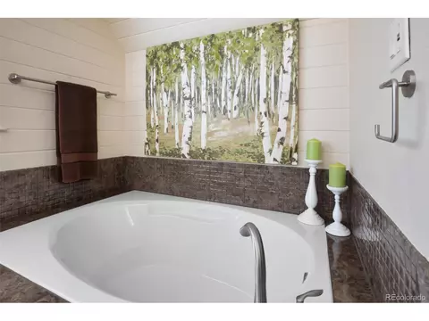 4615 Mesa, Cascade, CO 80809 photo 29