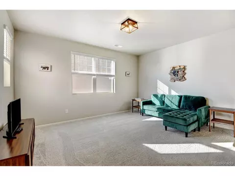 7021 E 121st Pl, Thornton, CO 80602 photo 28