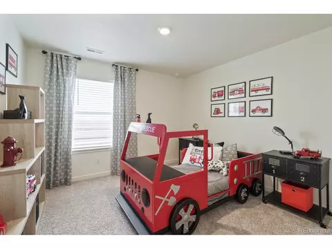 1236 Lily Mountain Rd, Windsor, CO 80550 photo 24