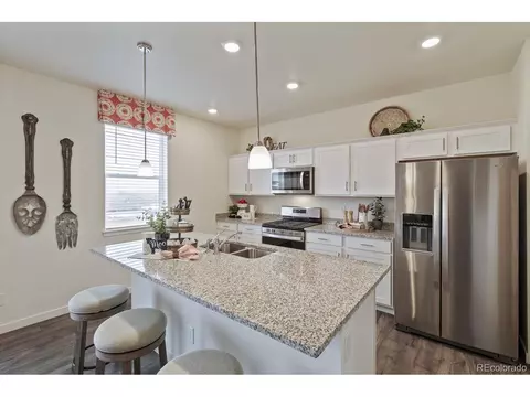 1236 Lily Mountain Rd, Windsor, CO 80550 photo 9