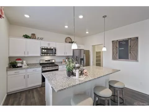 1236 Lily Mountain Rd, Windsor, CO 80550 photo 11