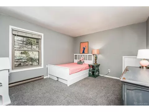 2097 Vigilante Ave, Bailey, CO 80421 photo 17