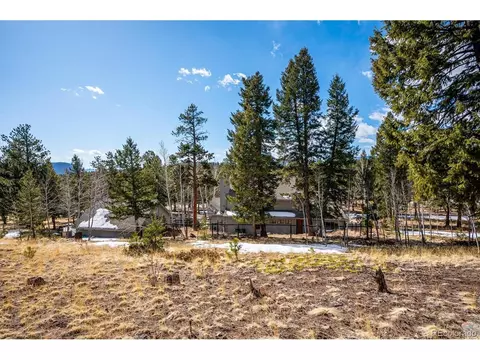 2097 Vigilante Ave, Bailey, CO 80421 photo 25