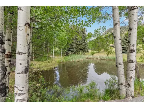 348 Brookside Dr, Bailey, CO 80421
