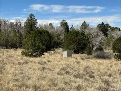 11 Hampton Run, Mosca, CO 81146 photo 2