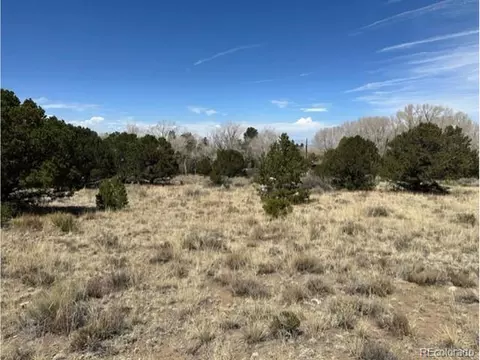 11 Hampton Run, Mosca, CO 81146 photo 6