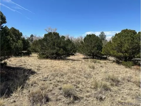 11 Hampton Run, Mosca, CO 81146 photo 5