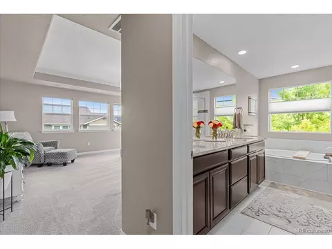 14222 Grape St, Thornton, CO 80602 photo 28