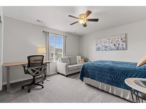 14222 Grape St, Thornton, CO 80602 photo 25