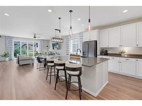 Kitchen - 22622 E Narrowleaf Cir, Aurora, CO 80016 photo 4 of 4