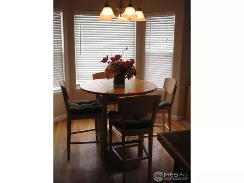 146 Beacon Way, Windsor, CO 80550 photo 5
