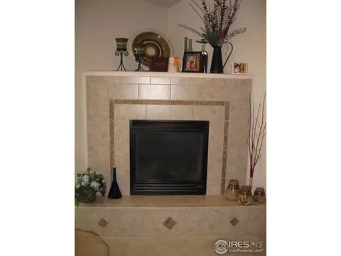 146 Beacon Way, Windsor, CO 80550 photo 9