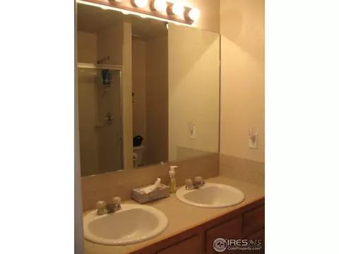 146 Beacon Way, Windsor, CO 80550 photo 12