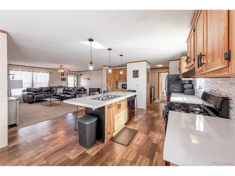 16412 Higgins Ave, Fort Lupton, CO 80621 photo 21