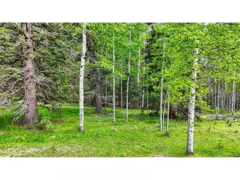 52 Idlewild Dr, Cripple Creek, CO 80813