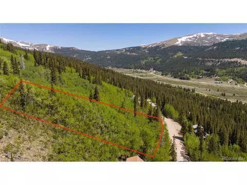 1255 Quartzville Rd, Fairplay, CO 80440