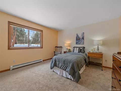 11834 S Stallion Dr, Pine, CO 80470 photo 19