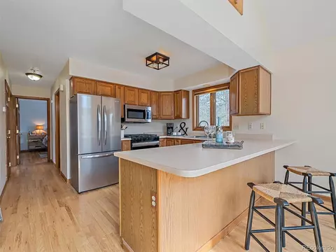 11834 S Stallion Dr, Pine, CO 80470 photo 14