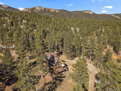 11834 S Stallion Dr, Pine, CO 80470 photo 48