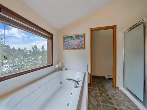 11834 S Stallion Dr, Pine, CO 80470 photo 31