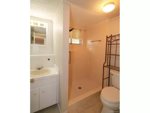 132 Pegasus Dr, Lone Tree, CO 80124 photo 18