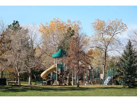 132 Pegasus Dr, Lone Tree, CO 80124 photo 26