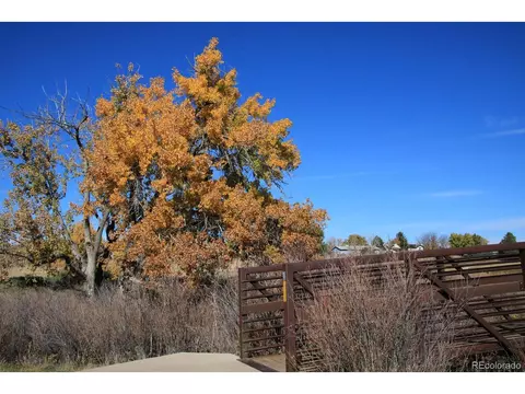 132 Pegasus Dr, Lone Tree, CO 80124 photo 27