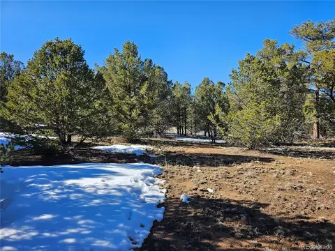 R Path, Cotopaxi, CO 81223 photo 23