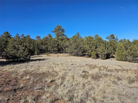 R Path, Cotopaxi, CO 81223 photo 31