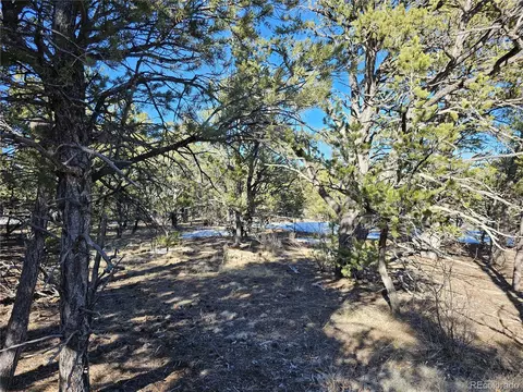 R Path, Cotopaxi, CO 81223 photo 22