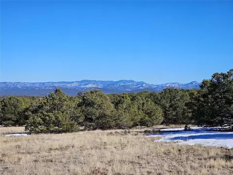 R Path, Cotopaxi, CO 81223 photo 28