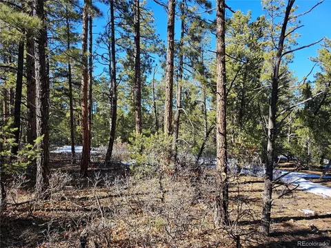 R Path, Cotopaxi, CO 81223 photo 7
