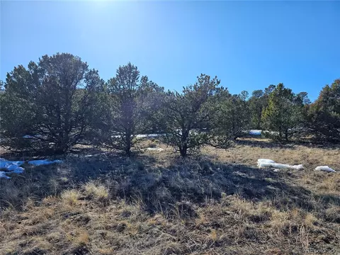 R Path, Cotopaxi, CO 81223 photo 2