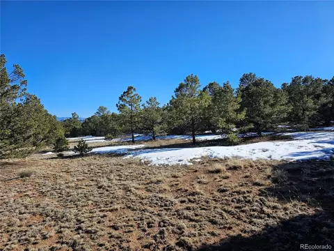 R Path, Cotopaxi, CO 81223 photo 25