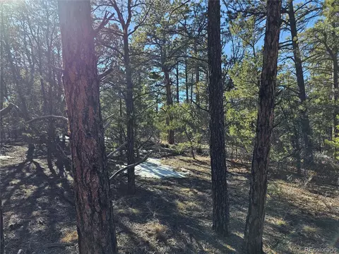 R Path, Cotopaxi, CO 81223 photo 6