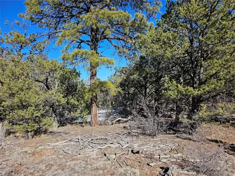 R Path, Cotopaxi, CO 81223 photo 20