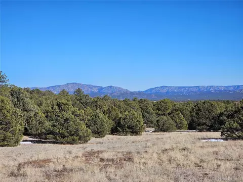 R Path, Cotopaxi, CO 81223 photo 27