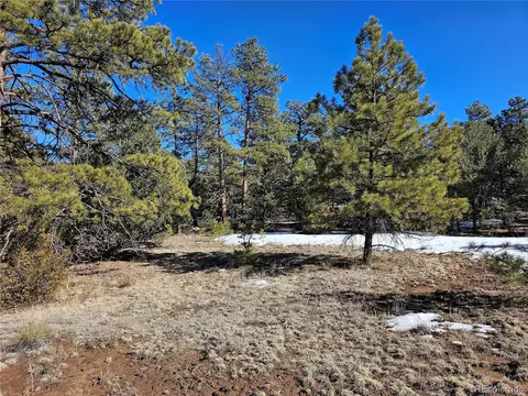 R Path, Cotopaxi, CO 81223 photo 14